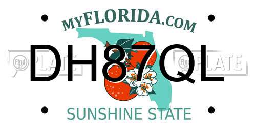DH87QL Florida License Plate