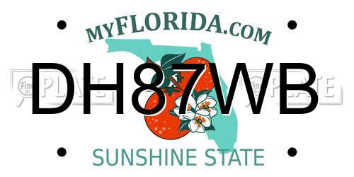 DH87WB Florida License Plate