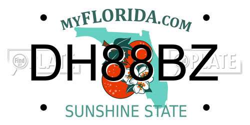 DH88BZ Florida License Plate