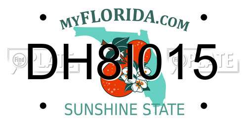 DH8I015 Florida License Plate