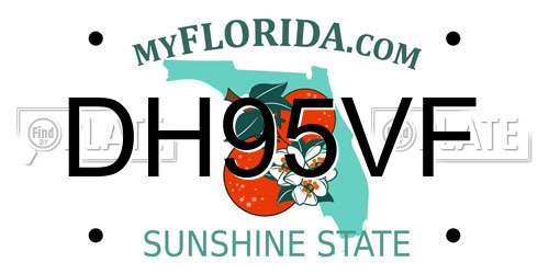 DH95VF Florida License Plate