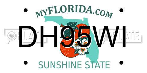 DH95WI Florida License Plate