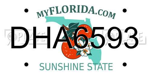 DHA6593 Florida License Plate