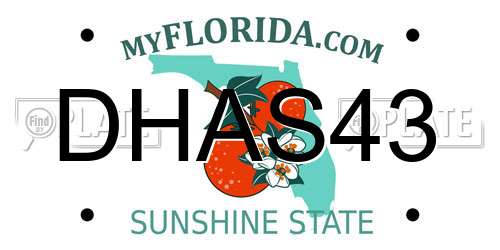 DHAS43 Florida License Plate