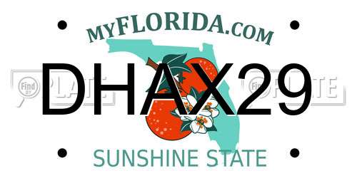 DHAX29 Florida License Plate
