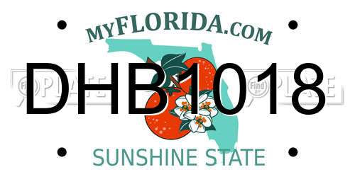 DHB1018 Florida License Plate