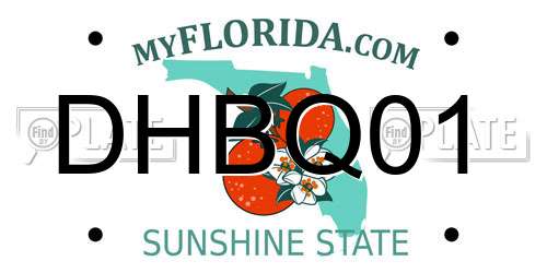 DHBQ01 Florida License Plate