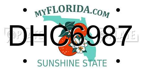 DHC6987 Florida License Plate