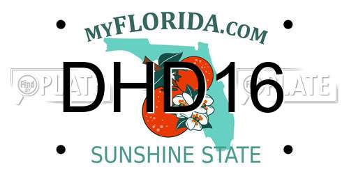 DHD16 Florida License Plate