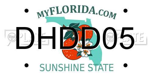 DHDD05 Florida License Plate