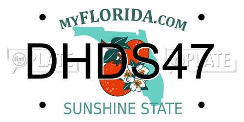 DHDS47 Florida License Plate