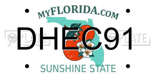 DHEC91 Florida License Plate