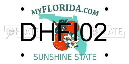 DHFI02 Florida License Plate