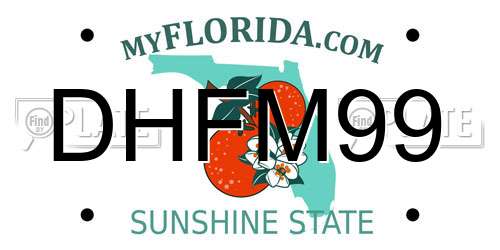 DHFM99 Florida License Plate