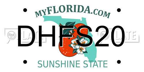 DHFS20 Florida License Plate