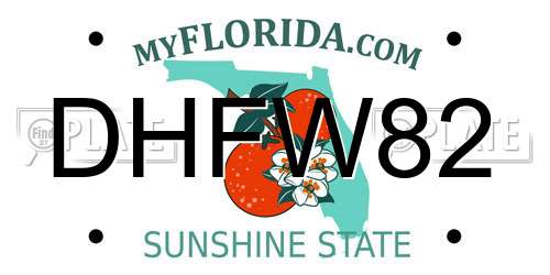 DHFW82 Florida License Plate