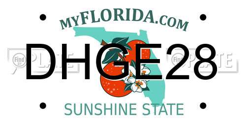 DHGE28 Florida License Plate