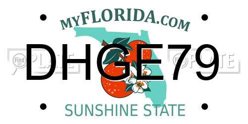 DHGE79 Florida License Plate
