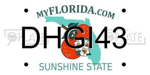 DHGI43 Florida License Plate