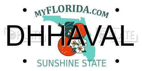 DHHAVAL Florida License Plate