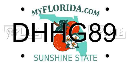 DHHG89 Florida License Plate