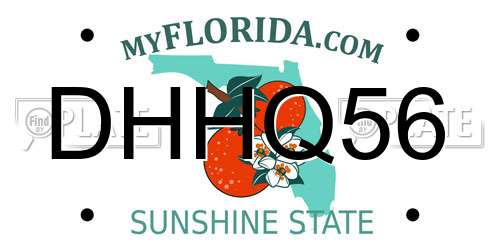 DHHQ56 Florida License Plate