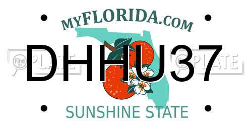 DHHU37 Florida License Plate