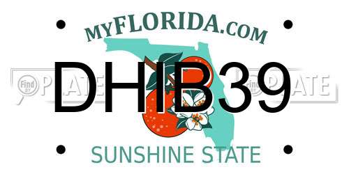 DHIB39 Florida License Plate