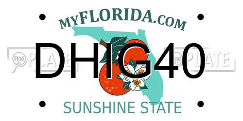 DHIG40 Florida License Plate