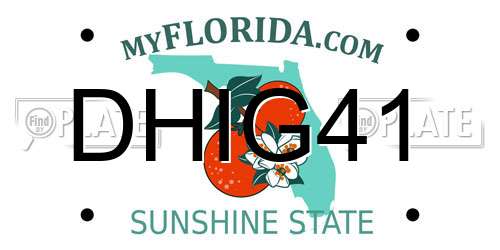 DHIG41 Florida License Plate