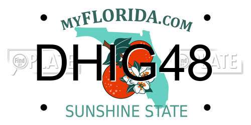 DHIG48 Florida License Plate