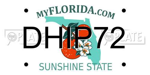 DHIP72 Florida License Plate