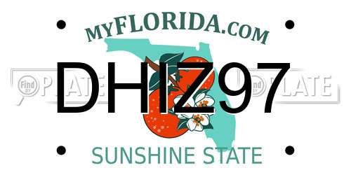 DHIZ97 Florida License Plate