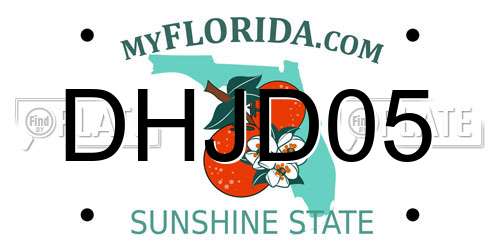 DHJD05 Florida License Plate