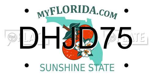 DHJD75 Florida License Plate