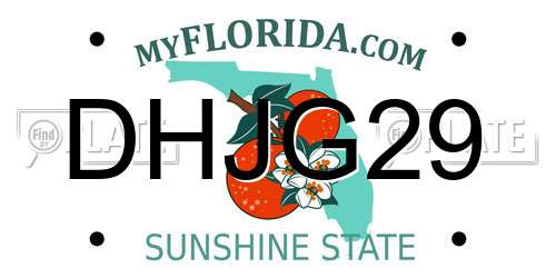 DHJG29 Florida License Plate