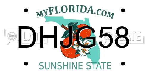 DHJG58 Florida License Plate