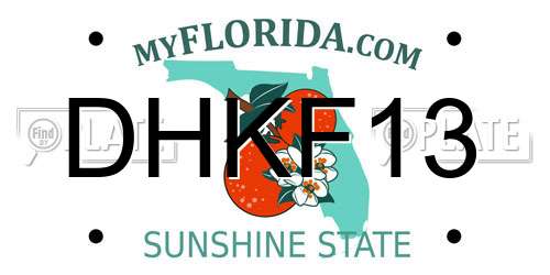 DHKF13 Florida License Plate