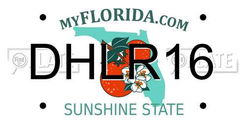 DHLR16 Florida License Plate