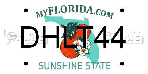 DHLT44 Florida License Plate