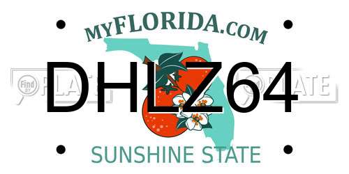 DHLZ64 Florida License Plate