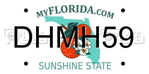 DHMH59 Florida License Plate