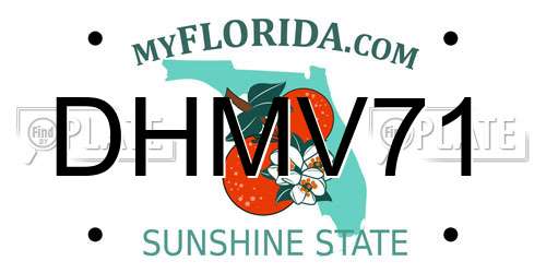 DHMV71 Florida License Plate