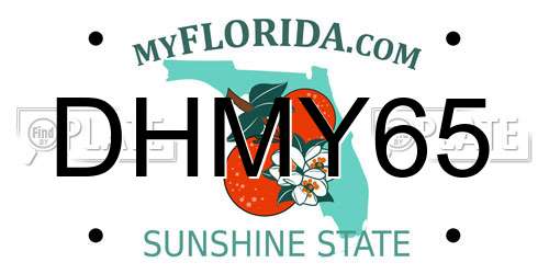 DHMY65 Florida License Plate