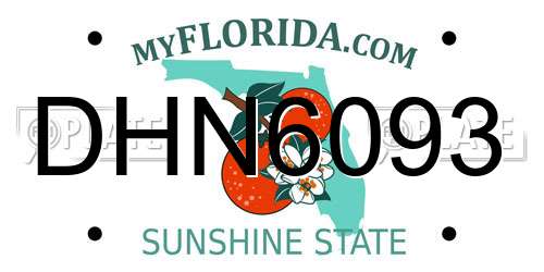 DHN6093 Florida License Plate