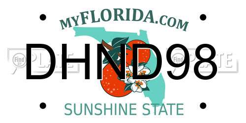 DHND98 Florida License Plate