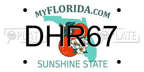 DHR67 Florida License Plate