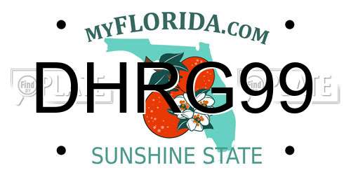 DHRG99 Florida License Plate