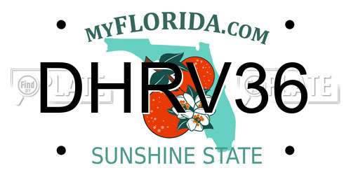 DHRV36 Florida License Plate