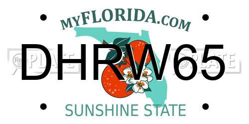 DHRW65 Florida License Plate